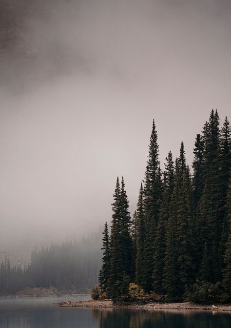 Dark Forest Aesthetic, Cloud Formations, Mountain Pictures, Moraine Lake, Forest Pictures, Pretty Landscapes, Beautiful Landscape Wallpaper, My Trip, Landscape Wallpaper