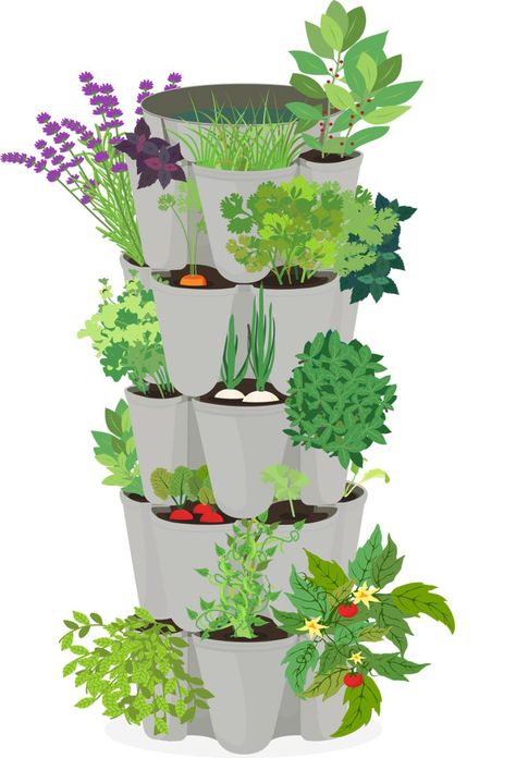 Vegetable Tower Garden, Stackable Garden Planters, Green Stalk Vertical Garden Ideas, Greenstalk Planter Ideas, Greenstalk Vertical Planter Ideas, Pot Vegetable Garden, Greenstalk Garden, Greenstalk Vertical Planter, Apartment Homestead