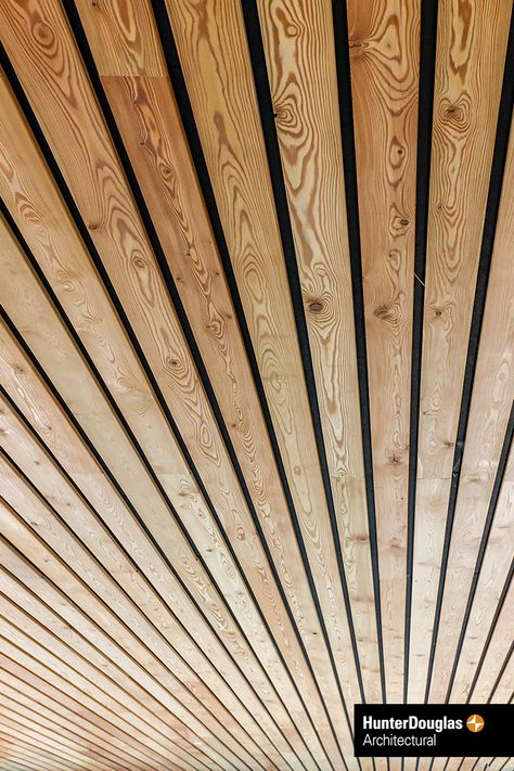 Pine Slat Ceiling, Wood Slat Ceiling Lighting, Slatted Wood Ceiling, Interesting Ceiling Design, Exposed Floor Joist Ceiling, Wood Strip Ceiling, Wood Clad Ceiling, Ceiling Wood Panels, Panelling Ceiling