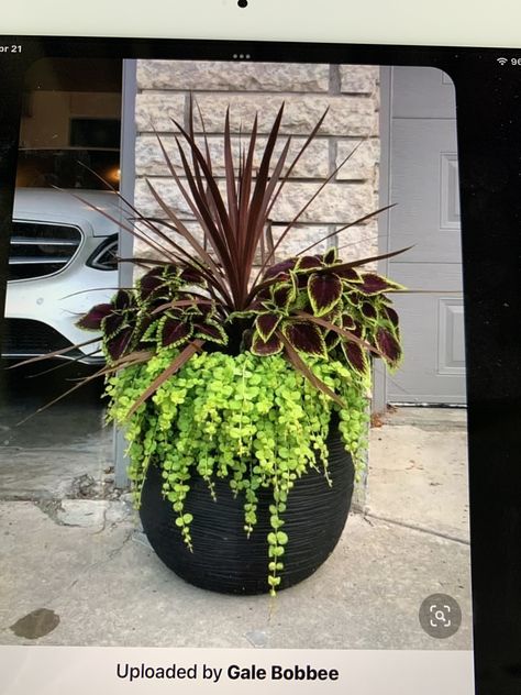 Coleus In Pots Front Porches, Bush In Planter, Faux Outdoor Flower Pots, Planter In Front Of Garage, Landscaping Under Trees Front Yards, Best Container Plants For Hot Full Sun, Front Porch Container Ideas, Front Porch Flowers Pots & Planters, Tall Plants For Pots