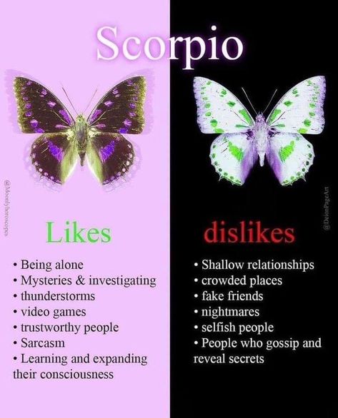 Aesthetic Scorpio, Scorpio Images, Zodiac Mind Scorpio, Scorpio Personality, Zodiac Quotes Scorpio, Scorpio Traits, Scorpio Love, Best Zodiac Sign, Zodiac Gemini