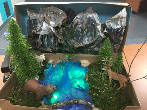 Taiga Biome Shoebox Habitat, Ecosystems Diorama, Diaroma Ideas, Shoe Box Diorama, Ocean Diorama, Biomes Project, Diorama Kids, Ecology Projects, Diarama Ideas