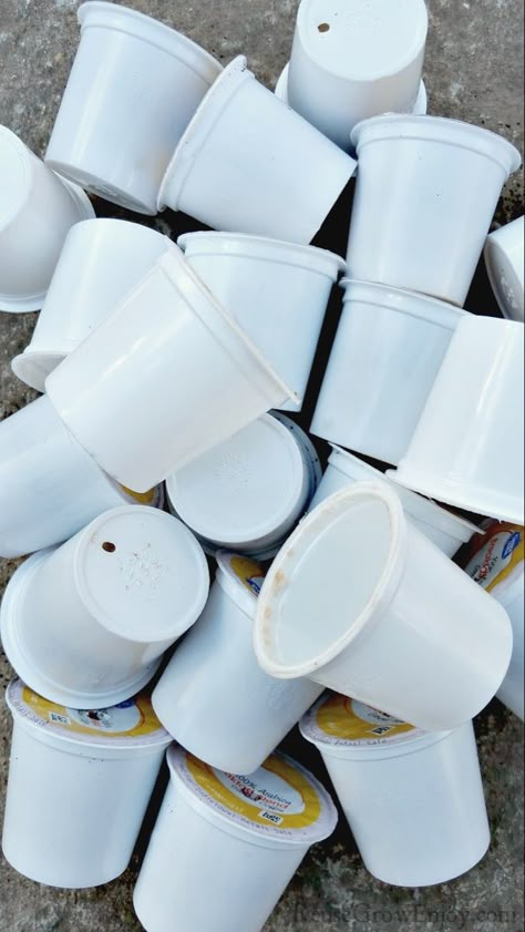 Finished with your coffee and wondering what to do with the used K-cups? There are many different ways to reuse a K-cup and I'm going to share a few. Coffee Creamer Container Crafts, Plastic Coffee Containers, Reuse Plastic Containers, K Cup Crafts, Coffee Creamer Container, Plastic Container Crafts, Creamer Bottles, Creamer Container, Reuse Containers