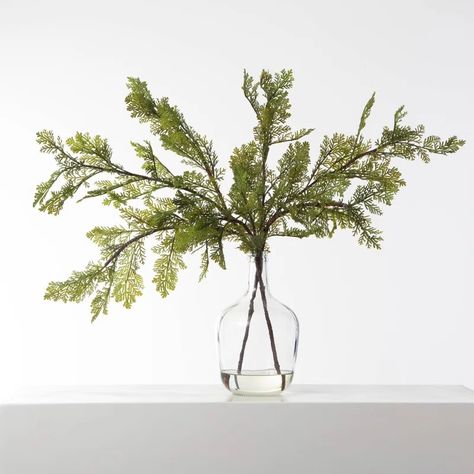 DarbyCreekTrading Lifelike Large Cedar Branch Winter Everyday Holiday Water Illusion Arrangement In Farmhouse Style Glass Jug - Wayfair Canada Glass Jugs Decor, Clear Vase Decor, Luxury Glassware, Cedar Branch, Orchid Centerpieces, Winter Arrangements, Clear Vase, Little Life, Forever Flowers