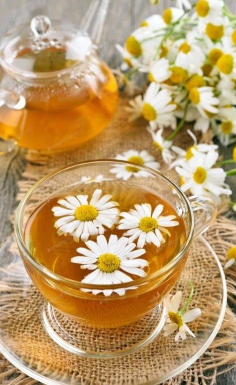 Chamomile Tea Aesthetic, Herbal Tea Aesthetic, Chamomile Aesthetic, Tea Camomile, Witch Cookbook, Friends Moodboard, Chamomile Tea Recipe, Tea Ads, Chamomile Tea Benefits