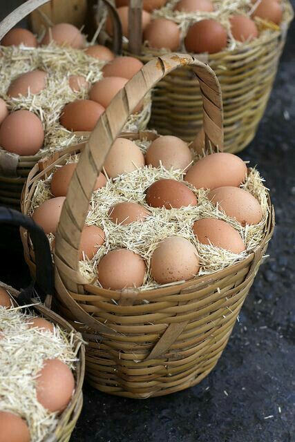 Eggs Freshness, Sunday Market, Food Types, Egg Crates, Bee Farm, Organic Eggs, Farm Fresh Eggs, Chicken Scratch, Unique Places