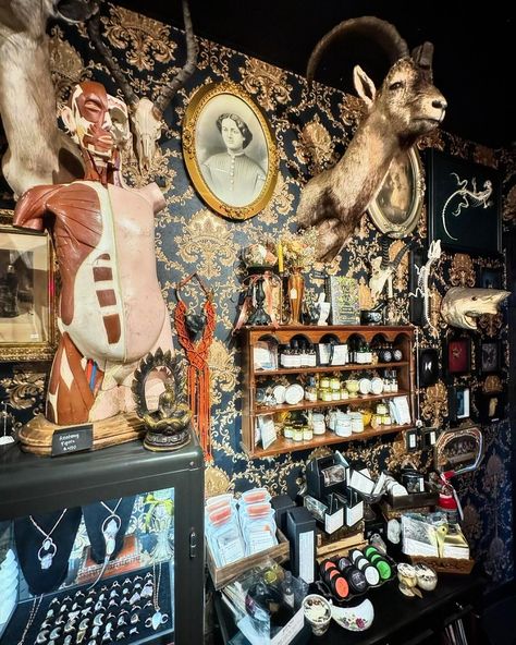 Oddities ~ PrometheusEsoterica (@prometheusesoterica) • Instagram photos and videos Oddities Shop Aesthetic, Halloween Open House, Oddity Shop, Curiosities And Oddities, Oddities Shop, Curio Shop, Oddities Collection, Winter Park Fl, Curiosity Shop