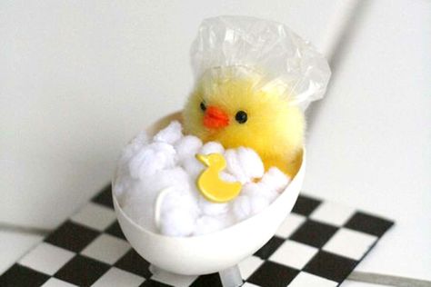 Bathtime 달력 디자인, Easter Egg Crafts, Easter Projects, Egg Crafts, Coloring Easter Eggs, Easter Egg Decorating, Hoppy Easter, Rubber Ducky, Easy Easter