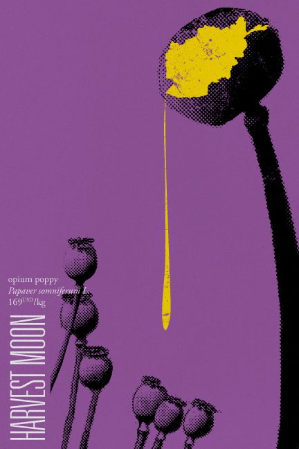 Harvest Moon Yellow Violet, Branding Illustration, Creative Portfolio, Harvest Moon, Graphic Design Portfolio, Graphic Design Posters, Graphic Poster, Design Branding, 20 Years