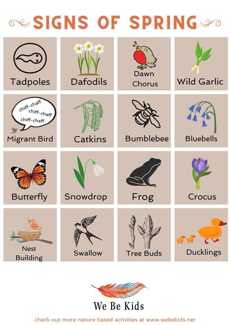 Spring Lesson Plans, Spring Preschool Activities, Migrating Birds, Tree Buds, Spring Lessons, Forest School Activities, Nature Connection, Spring Kindergarten, Birds Singing