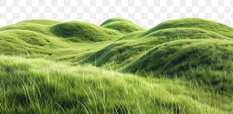 Rumput Png, Long Grass Illustration, Hills Background, Mountain Png Nature, Green Grass Png, Stylized Grass Texture, Hill Landscape, Grassy Hill, 3d Elements