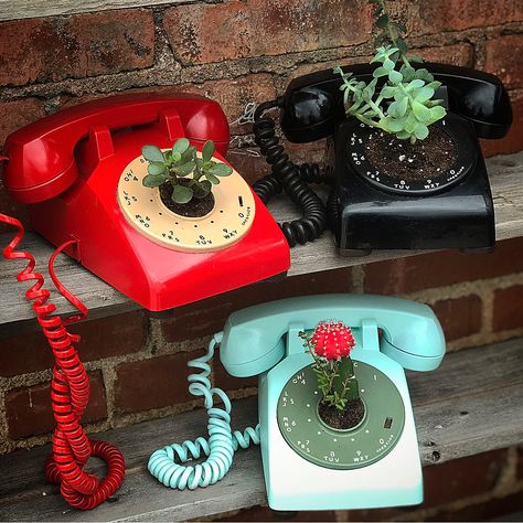 Looking for something extremely unique for your dorm room or new apartment? How cute are these repurposed rotary phone planters! Sam aka… Rotary Phone Decor, Vintage Pots, Phone Table, Repurposed Art, Old To New, Winter Beach, Rotary Phone, Gallery Wall Ideas, Vintage Phones