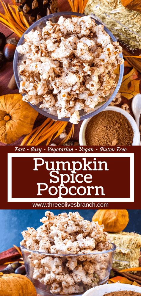 This Homemade Pumpkin Spice Popcorn is ready in just 10 minutes! A sweet and savory pumpkin spice is sprinkled across fresh homemade popcorn for a fast and easy snack recipe. Gluten free, vegan, and vegetarian. #pumpkinspice #fallsnacks #fallrecipes Sweet Popcorn Seasoning, Homemade Popcorn Seasoning, Pumpkin Spice Snack, Popcorn Seasoning Recipes, Flavored Popcorn Recipes, Popcorn Seasonings, Popcorn Recipes Easy, Savory Snack Recipes, Gluten Free Pumpkin Spice