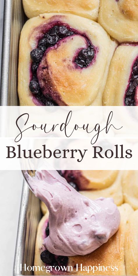 Treat yourself to the ultimate morning indulgence—Sourdough Blueberry Cinnamon Rolls! They're a sweet and tangy twist on a classic favorite. Blueberry Cream Cheese Frosting, Blueberry Rolls, Blueberry Sweet Rolls, Sourdough Blueberry, Sourdough Ideas, Blueberry Cinnamon Rolls, Starter Ideas, Recipe Using Sourdough Starter, Sourdough Rolls