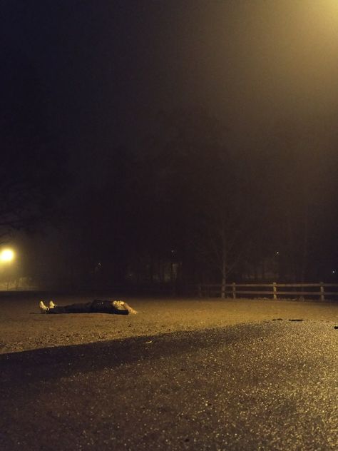 Loner Astetic, Laying On The Ground Aesthetic, Laying In Rain Aesthetic, Aesthetic Night Anime, 3 Am Aesthetic Night, Loner Aethstetic, 3 Am Aesthetic, Laying In The Rain, 3am Aesthetic