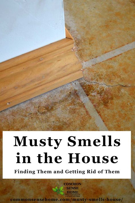 Musty Smell In House, Old House Smells, Mold Smell, House Smell Good, Feminine Health, Mildew Smell, Room Smells, House Smell, Basement Flooring