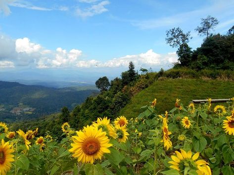 Mon Chaem (1 hour from Chiang Mai) Lampang, Asia Trip, Chiang Rai, Se Asia, Chiang Mai, Asia Travel, Phuket, Fresh Air, Picture Photo