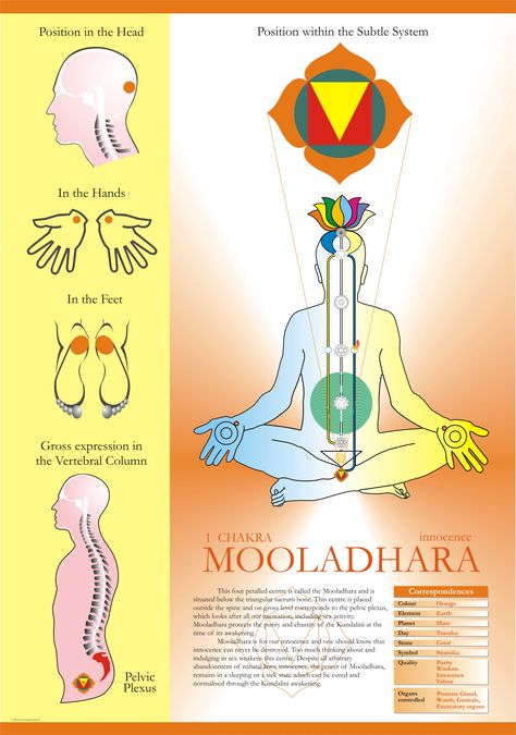 “The first centre is called the Mooladhara centre. It has four petals (sub-plexuses), is placed below the triangular bone, and is responsible on the physical level of the manifestation of the… Sahaja Yoga Meditation, Muladhara Chakra, Sahaja Yoga, Chakra Heilung, Yoga Chakra, Chakra System, Chakra Yoga, Les Chakras, Kundalini Yoga