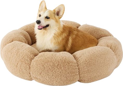 Amazon.com : Lesure Calming Medium Dog Bed - Flower Donut Round Fluffy Puppy Bed in Plush Teddy Sherpa, Non-Slip Cute Flower Cat Beds for Indoor Cats, Medium Pet Bed Fits up to 45 lbs, Machine Washable, Camel 30" : Pet Supplies Flower Donut, Beagle Mix Puppies, Large Dog Bed, Puppy Bed, Fluffy Puppy, Medium Dog Bed, Donut Dog Bed, Flower Cat, Flower Dog