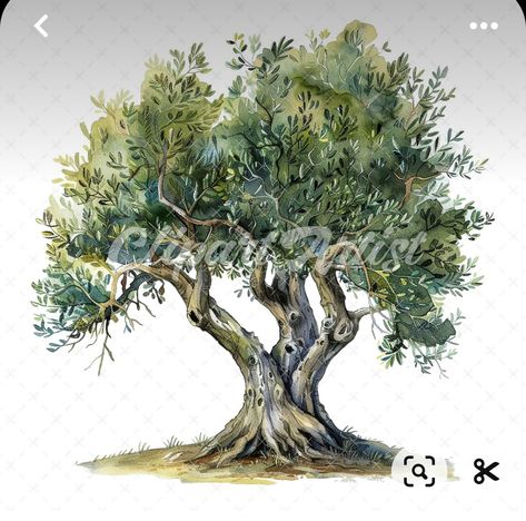 Olive Tree Watercolor, Trees Clipart, Watercolor Branding, Tree Clipart, Notebook Ideas, Picture Stand, Digital Elements, Olive Trees, Beautiful Greeting Cards