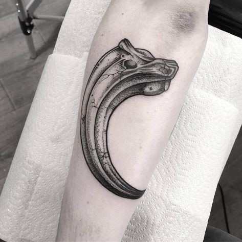 James Butler na Tumblrze Velociraptor Claw, Tatto Sleeve, Claw Tattoo, Dinosaur Claw, Horrible Tattoos, Master Tattoo, Nerd Tattoo, Dinosaur Tattoos, Heavy Metal Art