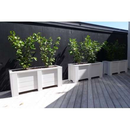 Rectangle Planter Box 1000x300x420 Oblong Planter Ideas, Yard Planning, Long Planter Boxes, Front Yard Planters, White Planter Boxes, Patio Planter Boxes, Tall Planter Boxes, Lawn Ideas, Long Planter