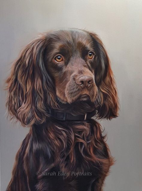 Portraits From Photos, Pet Lover, Cocker Spaniel, Portrait Art, Spaniel, Pet Portraits, Eden, Small Business, Pet