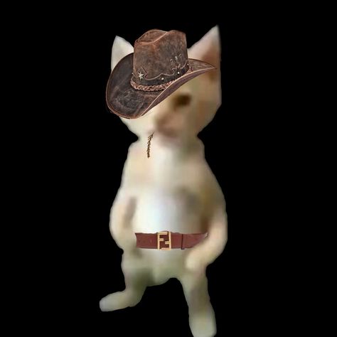 lil guy Chill Guy, Reaction Pictures, Cowboy Hats, Cowboy, Stone, Quick Saves