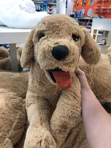 Gosig Golden, Ikea Plush, Ikea Dog, Heartstopper Aesthetic, Dog Plushie, Ikea Toys, Nick Nelson, Aesthetic Dog, Cute Toys