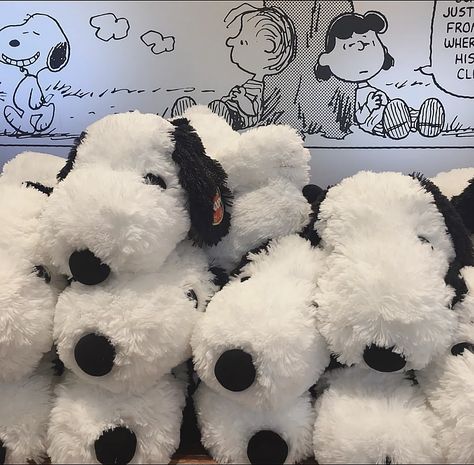 Snoopy Plushie, Acubi Aesthetic, Snoopy Plush, Plushies Cute, Snoopy Pictures, Snoop Dog, Snoopy Love, Peanuts Gang, Cute Aesthetic