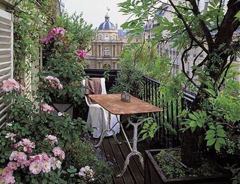 Pergola Shade Diy, Small Balcony Garden, Rooftop Garden, Roof Garden, Pergola Shade, Terrace Garden, Garden Cottage, Balcony Decor, Small Gardens