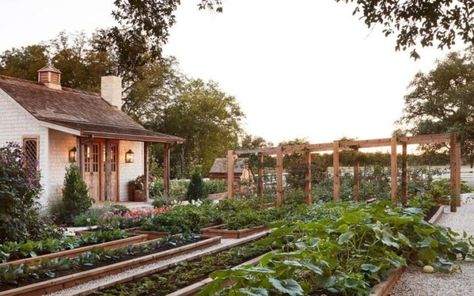 Home Renovations, DIY Home Projects & More! | Nikki's Plate Joanna Gaines Garden, Shed Inspiration, Joanna Gaines Farmhouse, Vegetable Garden Beds, Raised Vegetable Gardens, Magnolia Table, Garden Wallpaper, Farmhouse Garden, Home Vegetable Garden