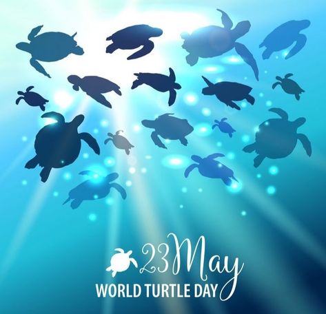 May Background, Mother Earth Drawing, Earth Day Images, Sea Turtle Artwork, World Turtle, World Turtle Day, Sun Vector, Turtle Day, Earth Day Posters