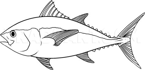 How To Draw A Tuna, Step by Step, Drawing Guide, by Dawn | dragoart.com Tuna Drawing, Octopus Coloring Page, Free Coloring Pages For Kids, Realistic Eye Drawing, Fish Drawing, Fish Coloring Page, Salt Water Fish, Drawing Course, Tuna Fish