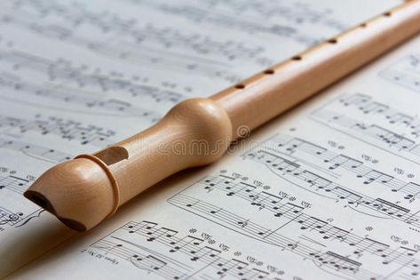 Bard Rogue, Flute Music Sheet, Flute Recorder, Teeth Images, Recorder Flute, David Kushner, Creative Flyer Design Ideas, Tom Odell, Flute Sheet Music