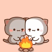 Mochi Cat Gif, Goma Peach, Mitao Cat, Mochi Cat, Mochi Peach Cat, Peach And Goma, Cute Animal Stickers, Peach Goma, Bear Gif