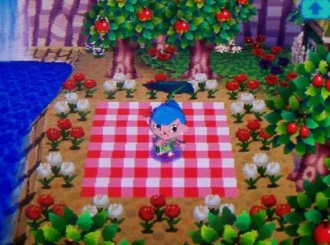 Picnic Flowers, Animal Crossing Wild World, City Folk, Cute Kawaii Animals, Animal Crossing Pocket Camp, New Animal Crossing, Animal Crossing Game, Animal Crossing Qr, Kawaii Animals