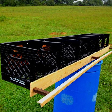 Chicken Nesting Box Ideas, Nesting Box Ideas, Nesting Boxes For Chickens, Chicken Coupe, Chicken Coups, Chicken Brooder, Owner Builder, Chicken Nesting Boxes, Chicken Tractors