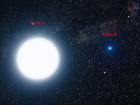 How to see Sirius B | Brightest Stars | EarthSky Sirius B, Canis Major, The Dog Star, Sirius Star, Sky Chart, Branches Of Science, Astronomy Stars, Cosmos Space, Light Scattering