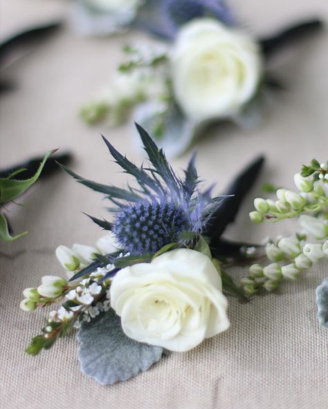 White and blue. #weddingfloristmelbourne #weddingflowers White And Blue Boutonniere Wedding, White And Blue Boutonniere, White And Blue Buttonhole, White And Green Buttonholes, White Ranunculus Blue Delphinium Boutonniere, Blue Thistle Buttonhole, Rose Buttonhole, Blue Boutonniere, Bridesmaid Bouquet White