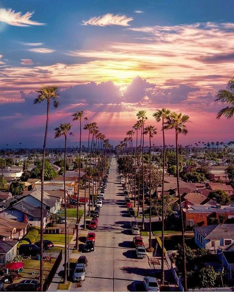 Sunset over South Central Los Angeles Destination Voyage, City Of Angels, California Dreamin', California Dreaming, Jolie Photo, Road Trip Usa, Elba, California Travel, Los Angeles California