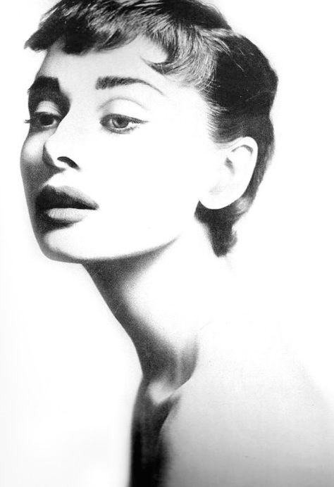 In Love With Audrey Hepburn Richard Avedon Portraits, Audrey Hepburn Pictures, Audrey Hepburn Art, Art Charcoal, Richard Avedon, Vintage Portraits, Harper's Bazaar, Beauty Videos, Audrey Hepburn