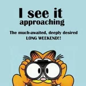 I can't wait until the #weekend. 1 more day! #Friday #TGIF #Saturday #TGIS #kensherman902 Long Weekend Quotes, Garfield Quotes, Happy Thursday Quotes, Thursday Quotes, Garfield And Odie, Weekday Quotes, Weekend Quotes, Weekend Humor, Good Day Quotes