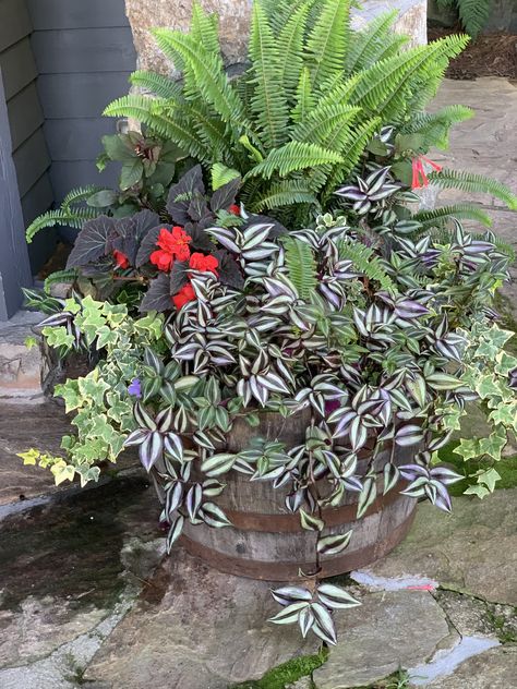 Pots Front Door, Front Porch Planter, Potting Ideas, Fern Planters, Front Porch Flower Pots, Small Garden Plans, Front Door Garden, Outdoor Plant Pots, Patio Flower Pots