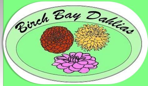 . Seed Germination, Dahlia Flower, Flower Farm, Window Stickers, Dahlia, Bumper Stickers, Flower Garden