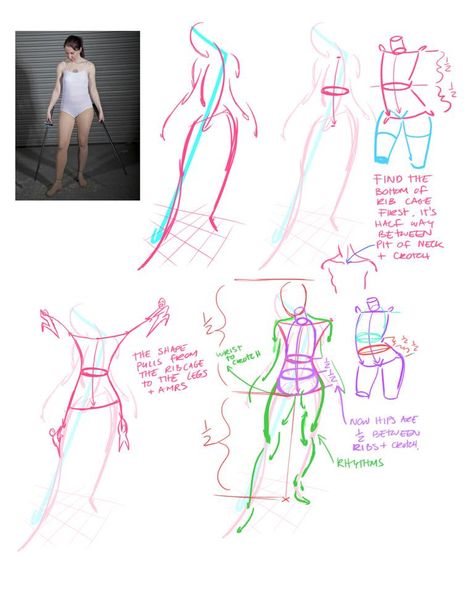 Rad Sechrist, Manga Tutorial, Anatomy Tutorial, Instagram Drawing, Human Anatomy Drawing, Body Reference Drawing, Drawing Process, Gesture Drawing, Anatomy Drawing