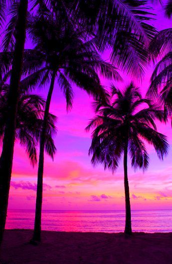 Sunset Scenery, Beautiful Summer Wallpaper, Pretty Landscapes, Beautiful Wallpapers Backgrounds, Sun Sets, Beach Wallpaper, Sunset Wallpaper, Beautiful Landscape Wallpaper, Beautiful Nature Wallpaper