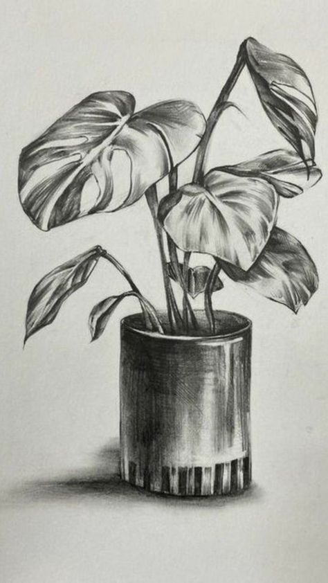 Simple Shading Drawing Sketch, Still Life Drawing Sketch, Drawing Ideas Still Life, Sketch Ideas Still Life, Still Life With Pencil Shading, Still Life Shading Drawing, Still Life Ideas Drawing, Sketching Ideas Pencil Nature, Charcoal Art Still Life