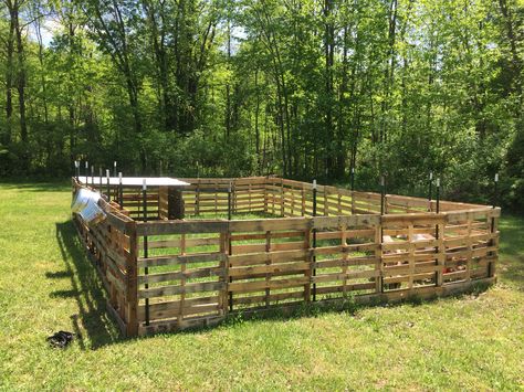 Outdoor pallet animal enclosure - finally a completed pallet project of my own! Fence For Goats, Wood Pallet Fence, Pig Shelter, Goat Fence, Sheep Pen, Livestock Shelter, Goat Shelter, Goat Pen, Pallet Barn