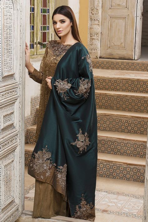 Nilofer Shahid, Formal Shawl, Asian Wedding Dress Pakistani, Embroidery Dresses, Pakistani Formal Dresses, Desi Wedding Dresses, Velvet Dress Designs, Wedding Embroidery, Pakistani Fashion Party Wear